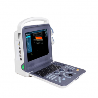 New WALEETA WUC-P1