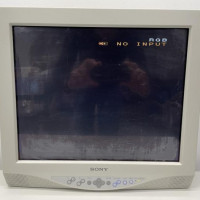 Used SONY LMD-181MD
