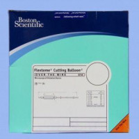 BOSTON SCIENTIFIC FLEXTOME Catheters