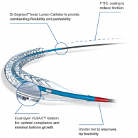 New BOSTON SCIENTIFIC Promus Premier