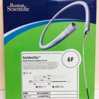 BOSTON SCIENTIFIC Guidezilla Catheters