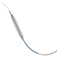 BOSTON SCIENTIFIC NC QUANTUM APEX PTCA Dilatation Catheter Catheters