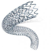 BOSTON SCIENTIFIC Promus Element Plus Stent