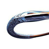 ABBOTT LABS XIENCE ALPINE EVEROLIMUS ELUTING CORONARY STENT SYSTEM Stent