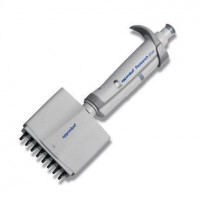 Eppendorf Research® plus, 8-channel, variable, incl. epT.I.P.S.® Box 2.0, 0.5 – 10 µL, medium gray