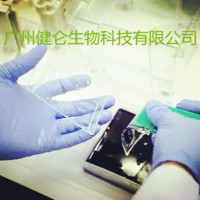 Q热立克次体IgM免疫检测试剂盒（IFA荧光玻片法）