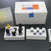 鸡滑液囊支原体(MS)核酸检测试剂盒(荧光PCR法)