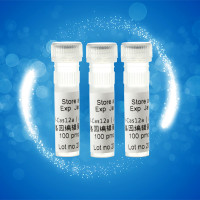 CRISPR-Cas12a(FnCpf1)基因编辑蛋白