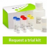 HiFi HotStart ReadyM议 PCR Kit