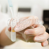 SLCO1B1和ApoE基因检测试剂盒（荧光PCR-毛细管电