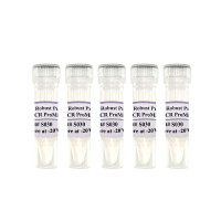 探针法荧光定量PCR预混液：2× Robust Probe