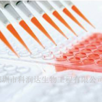 丝虫快速检测试剂