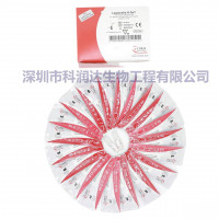 甲型流感病毒胶体金体外诊断检测卡