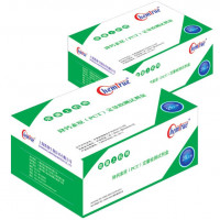 降钙素原（PCT）定量检测试剂