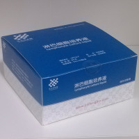 外周血淋巴细胞培养基