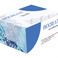 BIOCREATE磁珠产品—NGS文库制备更高效