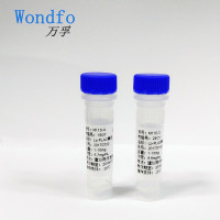 t-PAIC MAb/t-PAIC单抗/tPAIC单抗/Ti