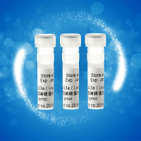 CRISPR-Cas13a(Lwa)基因编辑蛋白