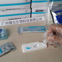 流感病毒检测试剂盒