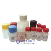 Total β-HCG 全人绒毛膜激素营养蛋白β亚基检测试剂