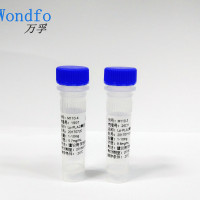 B型利钠肽、脑钠肽（Brain Natriuretic Pe