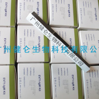 肠道病毒71型IgM抗体检测试剂盒
