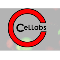 Cellabs热带病快检卡
