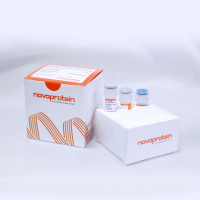 Recombinant PRV gB Protein