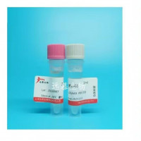 重组人神经元特异性烯醇化酶（Recombinant NSE
