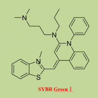 SYBR Green I