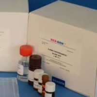 NBEAL2蛋白激酶锚定蛋白样蛋白2免疫组化试剂盒