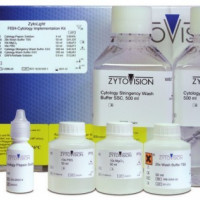 ZytoLight ® SPEC HER2/CEN 17 双