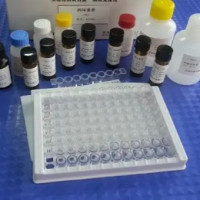 Parechovirus(PeV)双埃柯病毒PCR试剂盒价格