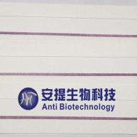 FHV Ag 猫鼻支/猫疱疹抗原检测卡 猫鼻支/猫疱疹抗原试