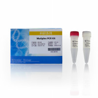 多重PCR试剂盒：Mutiplex PCR Kit