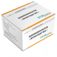 肠道病毒核酸检测试剂盒（酶切探针恒温扩增法）