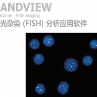 BandView染色体核型分析软件