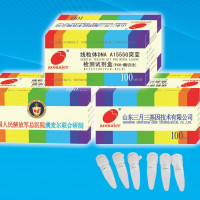 线粒体DNA A1555G突变检测试剂盒（PCR-酶切法）