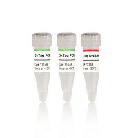 热启动DNA聚合酶：C-Taq DNA Polymerase