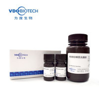 时间分辨荧光微球