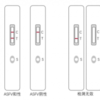 非洲猪瘟病毒抗原胶体金测试卡说明书