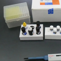 LowPathogenicPorcineReproducti