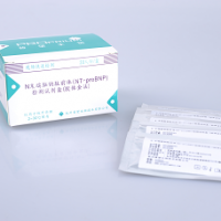 N末端脑钠肽前体（NT-proBNP）检测试剂盒（胶体金法）
