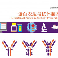 重组蛋白与抗体制备实验宝典