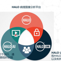 顶尖病理图像分析平台