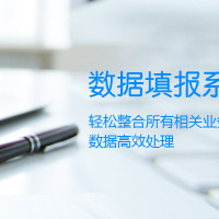 数据填报系统