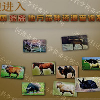 动物查询系统
