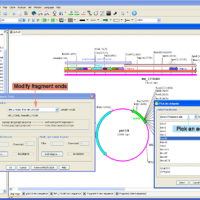 NoeClone 3.0 高级版