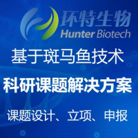 科研实验/斑马鱼课题/SCI医学论文发表/科研课题一站式解决