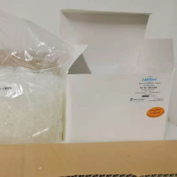 309101008 2mL微量离心管